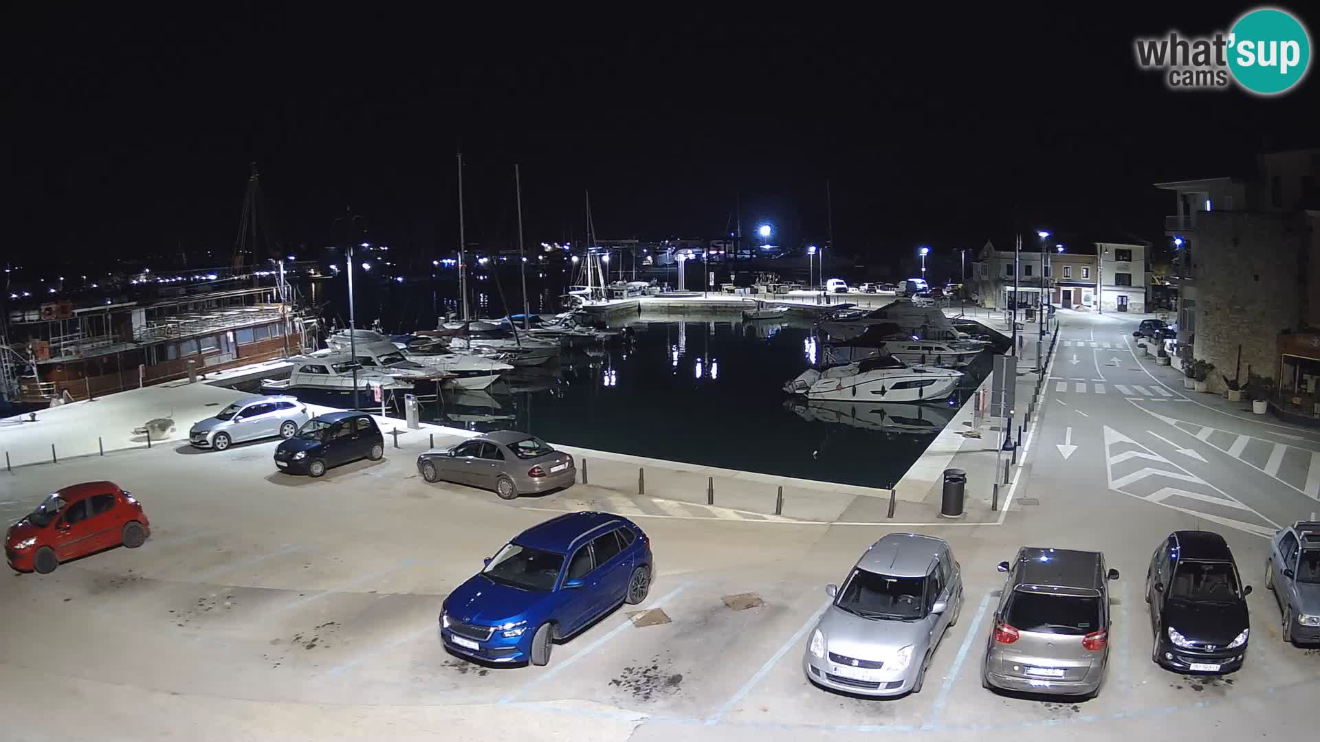 Novigrad | Porporela marina