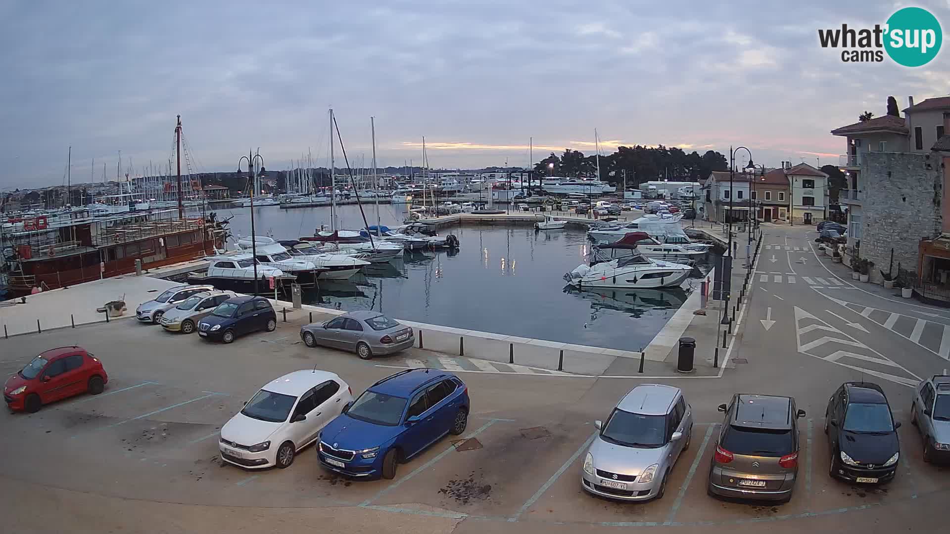 Novigrad | Porporela marina