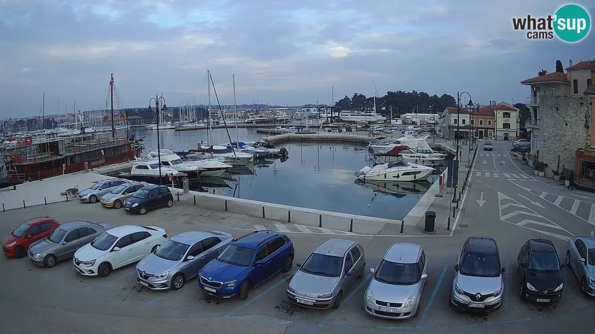 Novigrad | Porporela marina