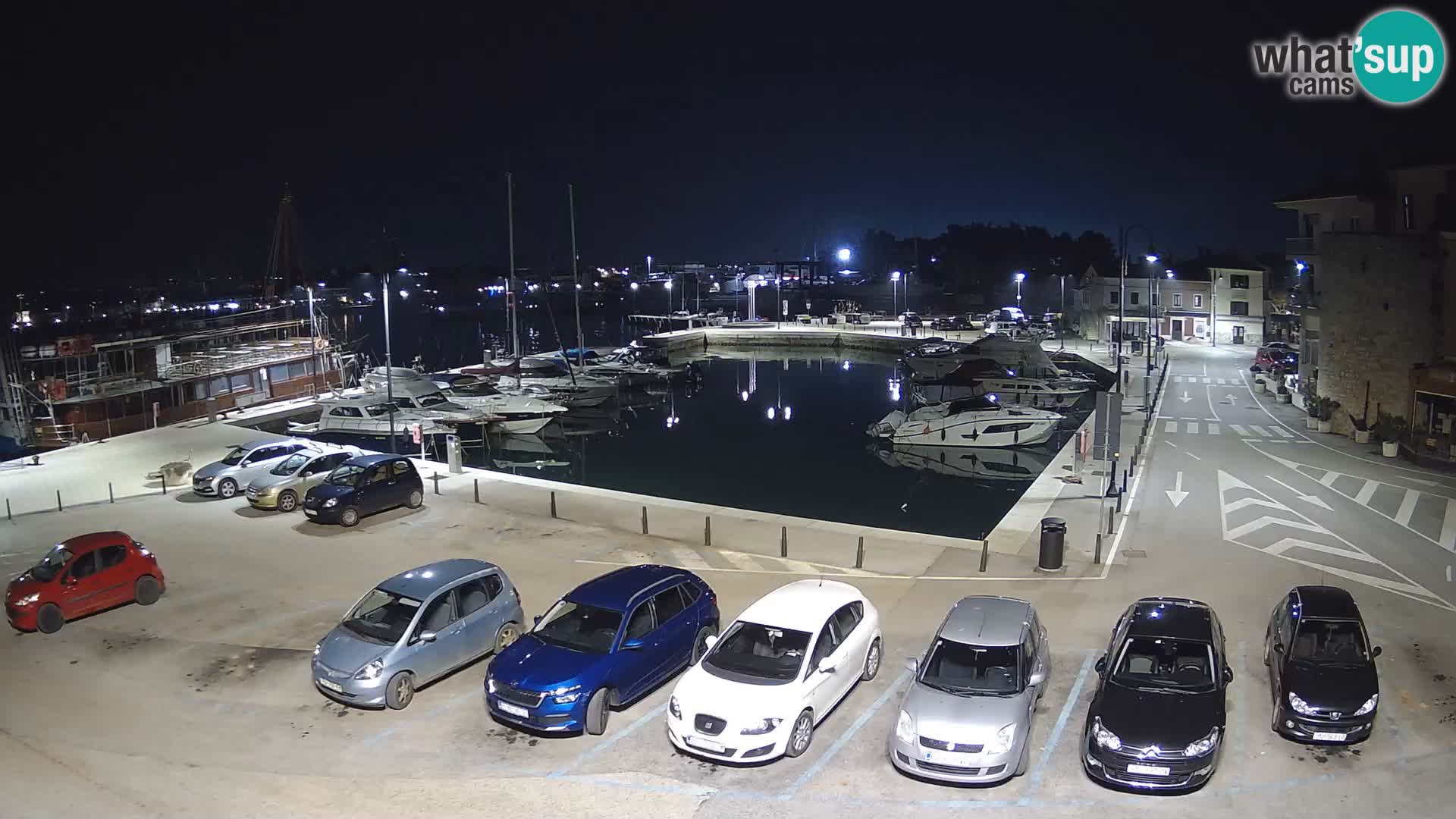 Novigrad | Porporela marina