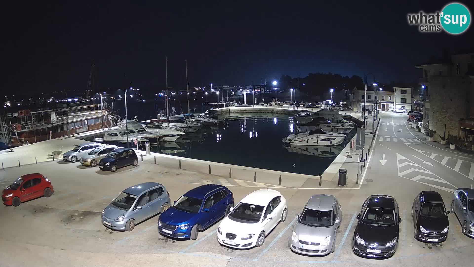 Novigrad | Porporela marina
