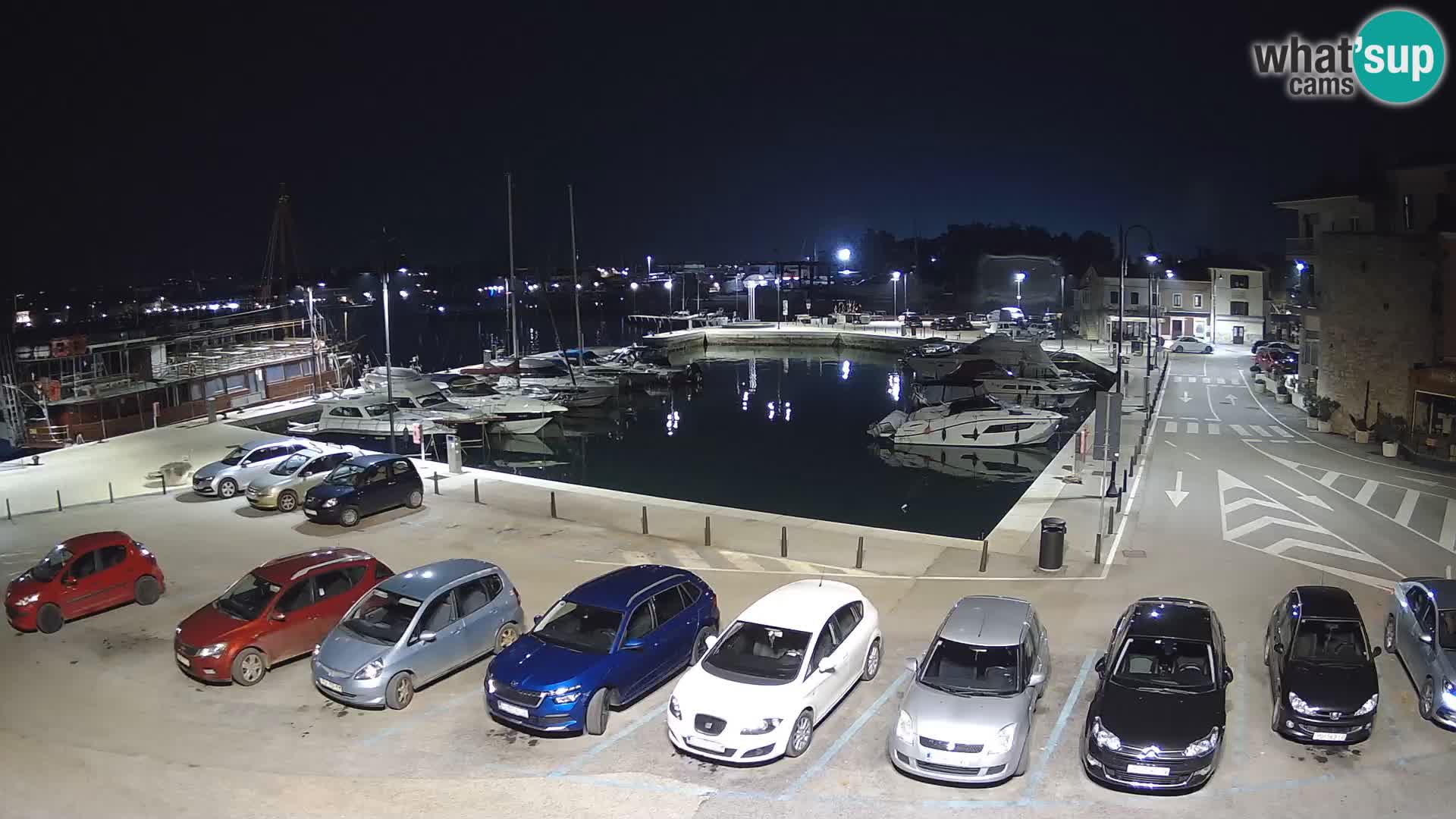 Novigrad | Porporela marina