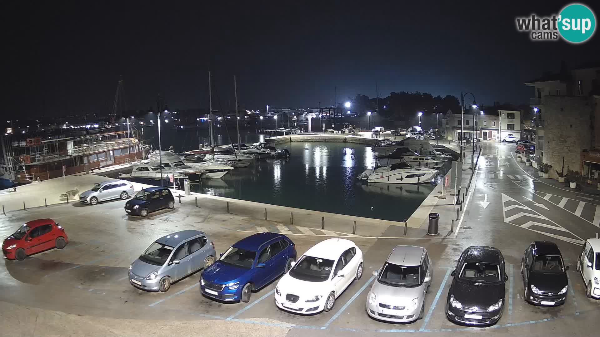 Novigrad | Porporela marina