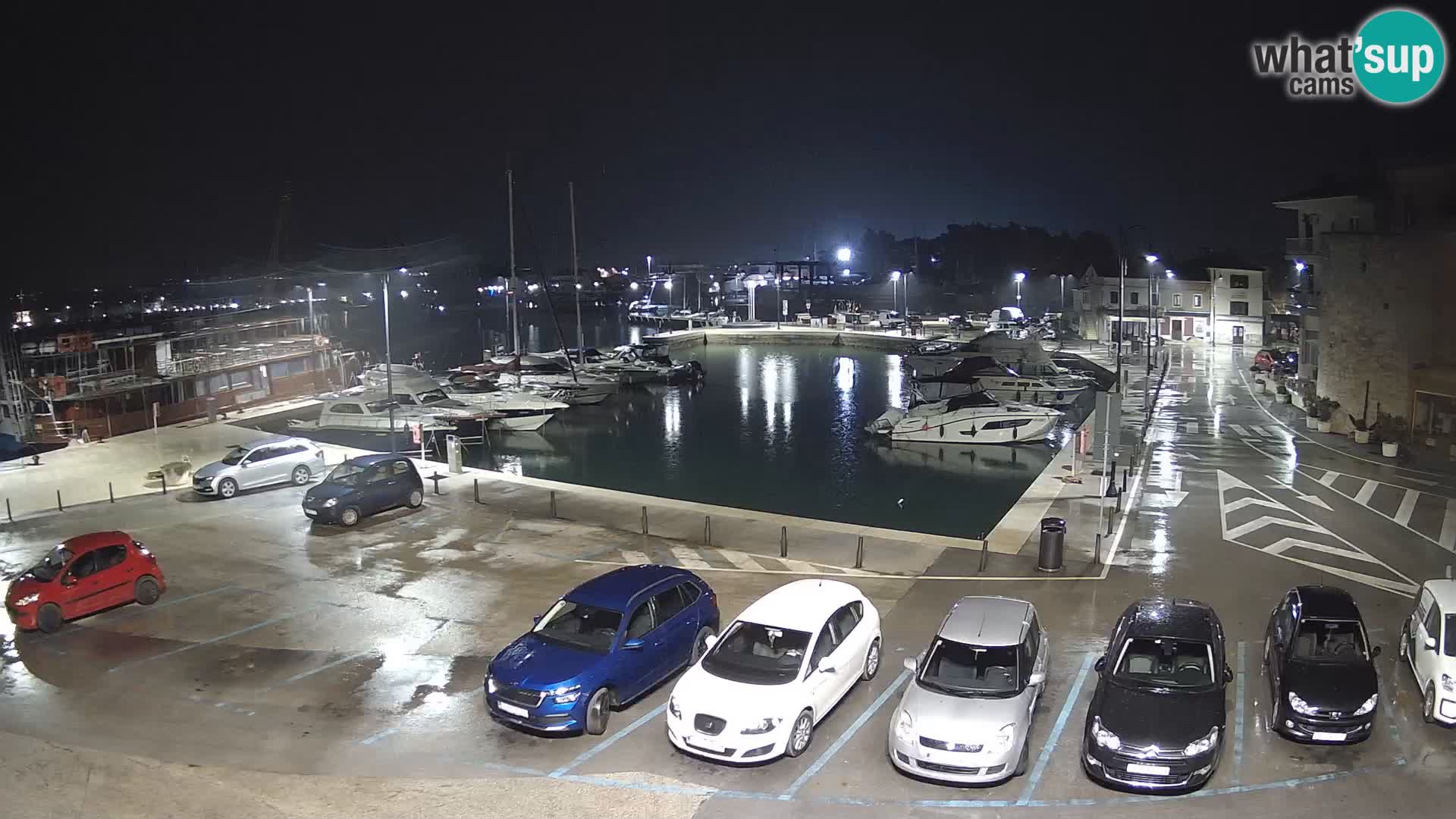 Novigrad | Porporela marina
