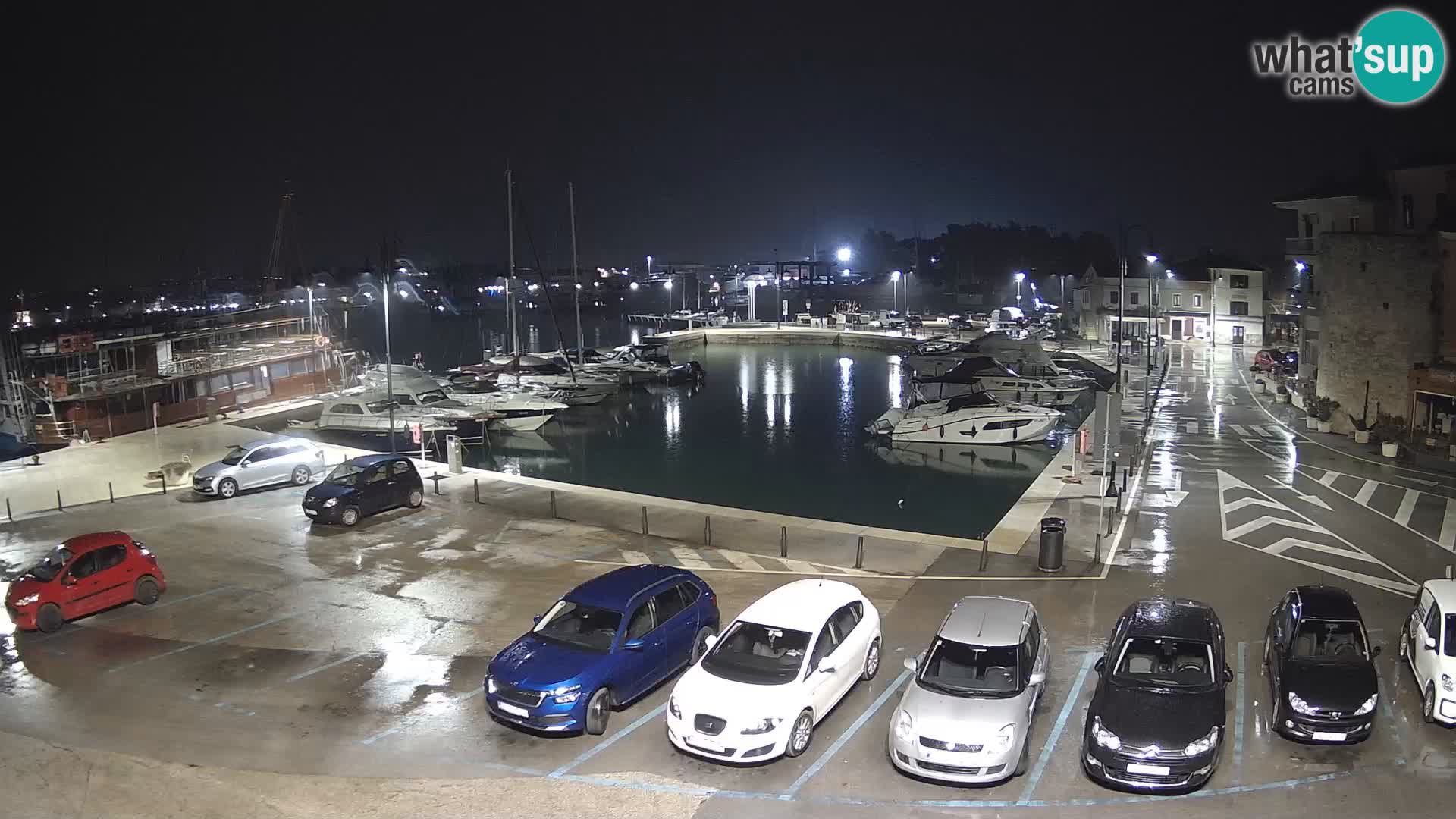 Novigrad | Porporela marina
