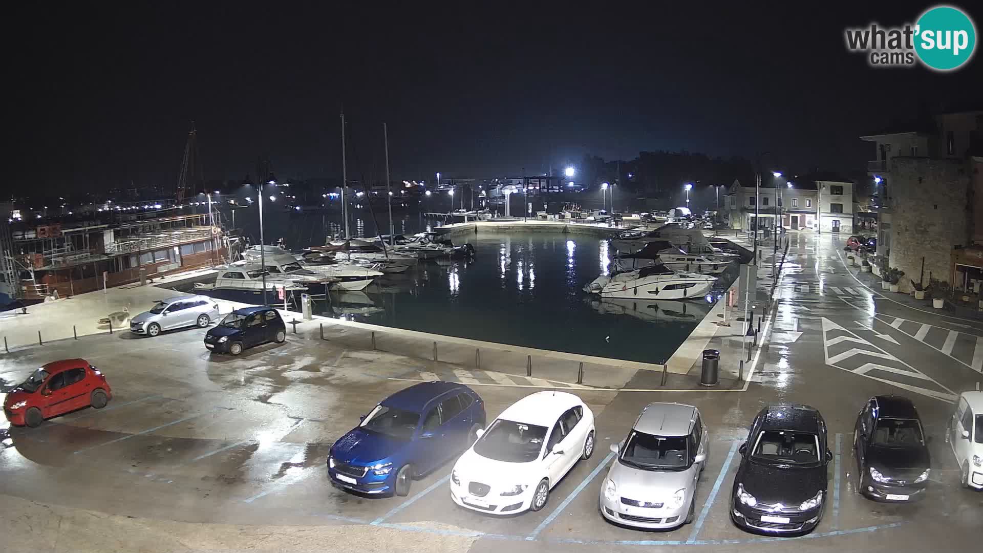 Novigrad | Porporela marina