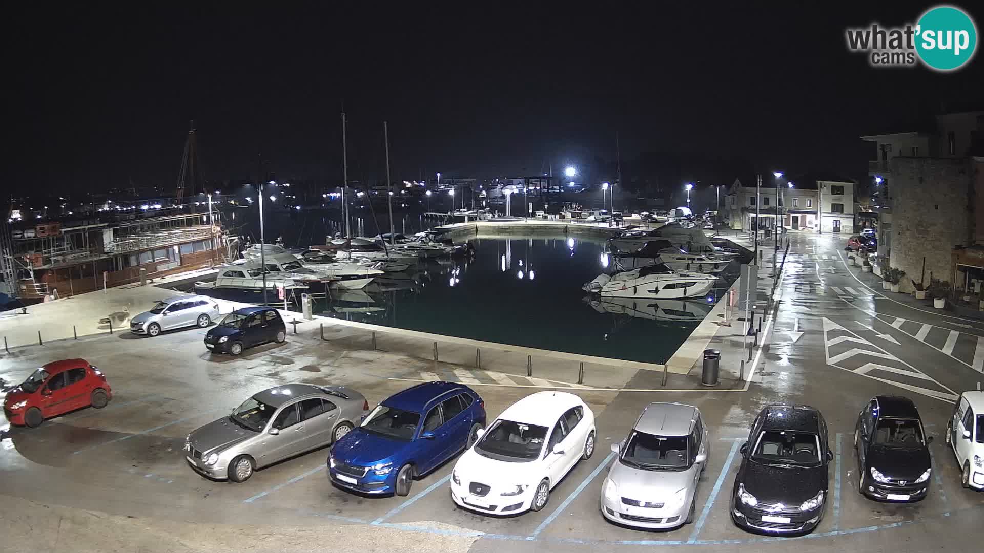 Novigrad | Porporela marina