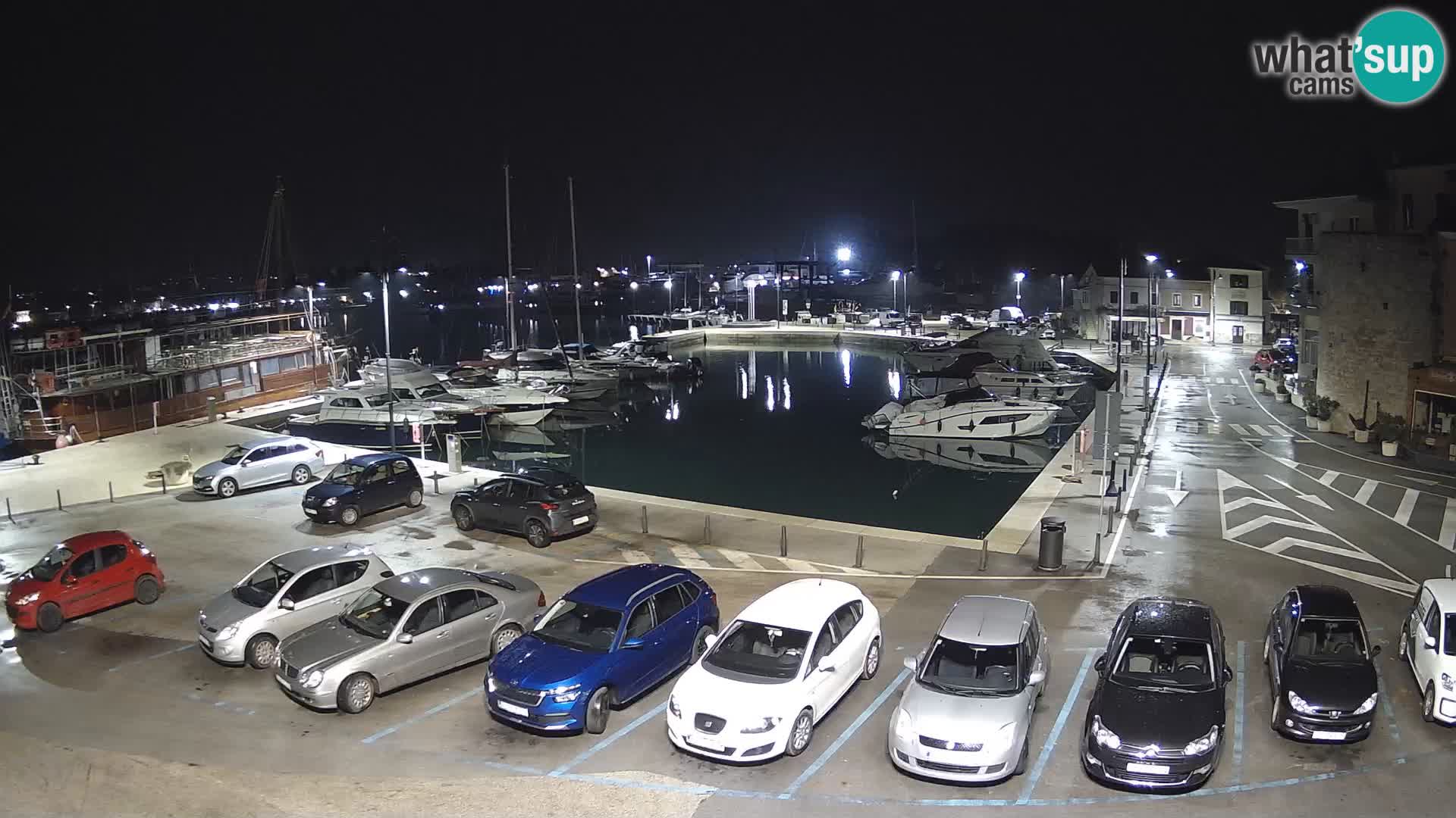 Novigrad | Porporela marina