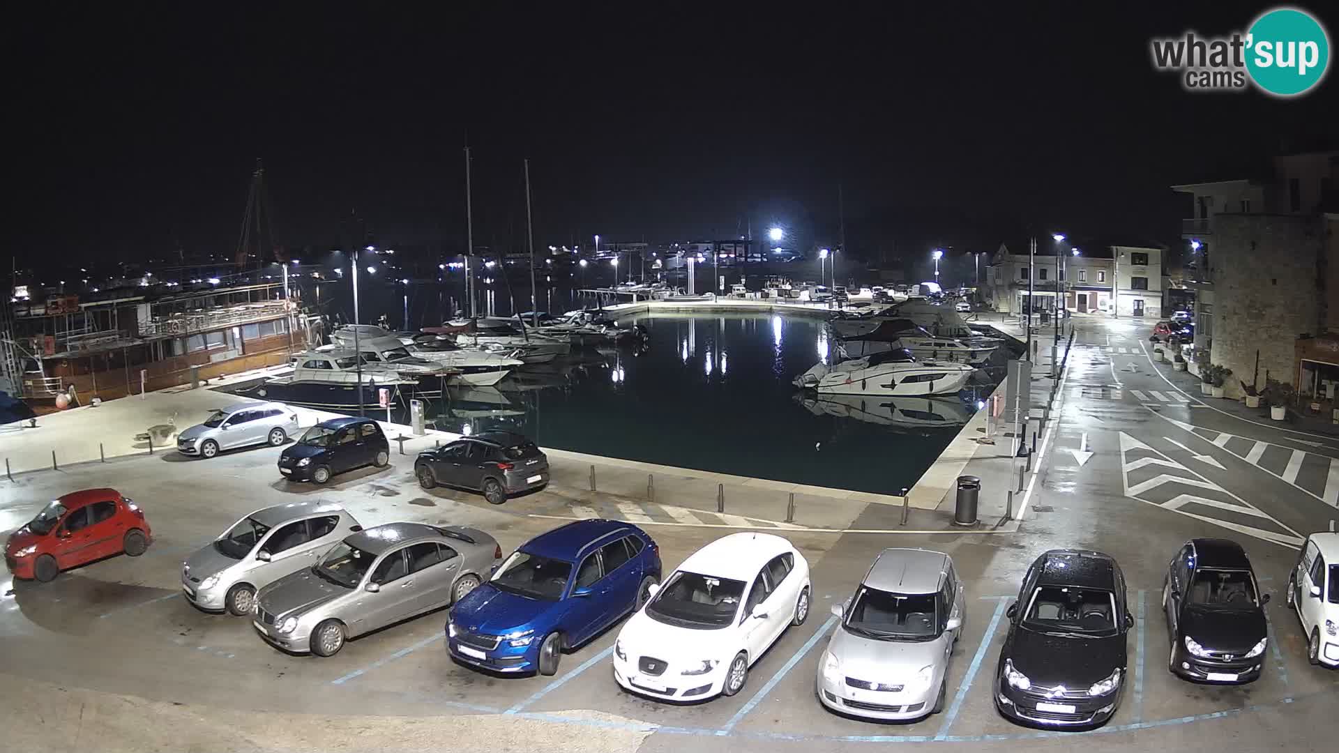 Novigrad | Porporela marina