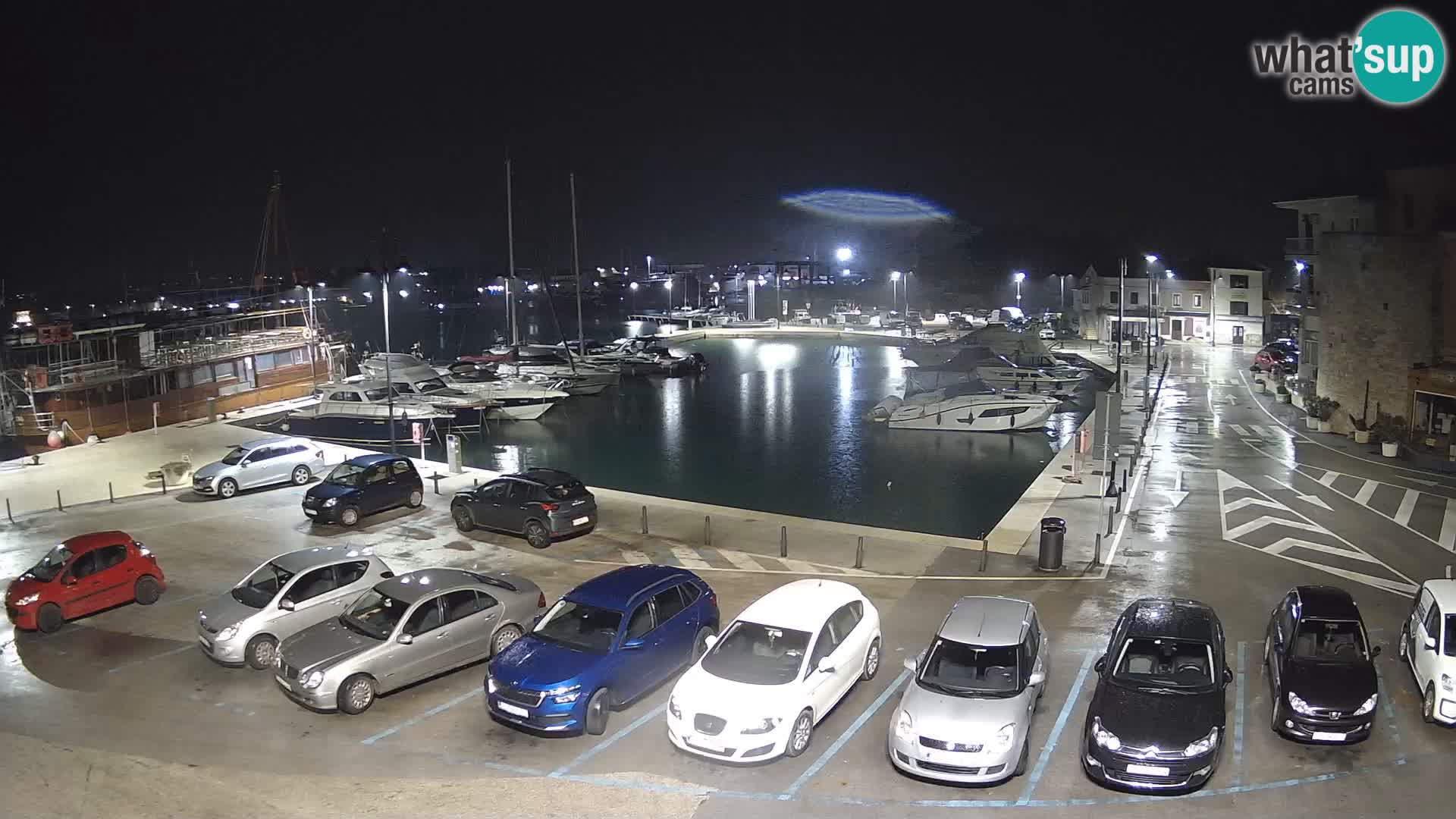 Novigrad | Porporela marina