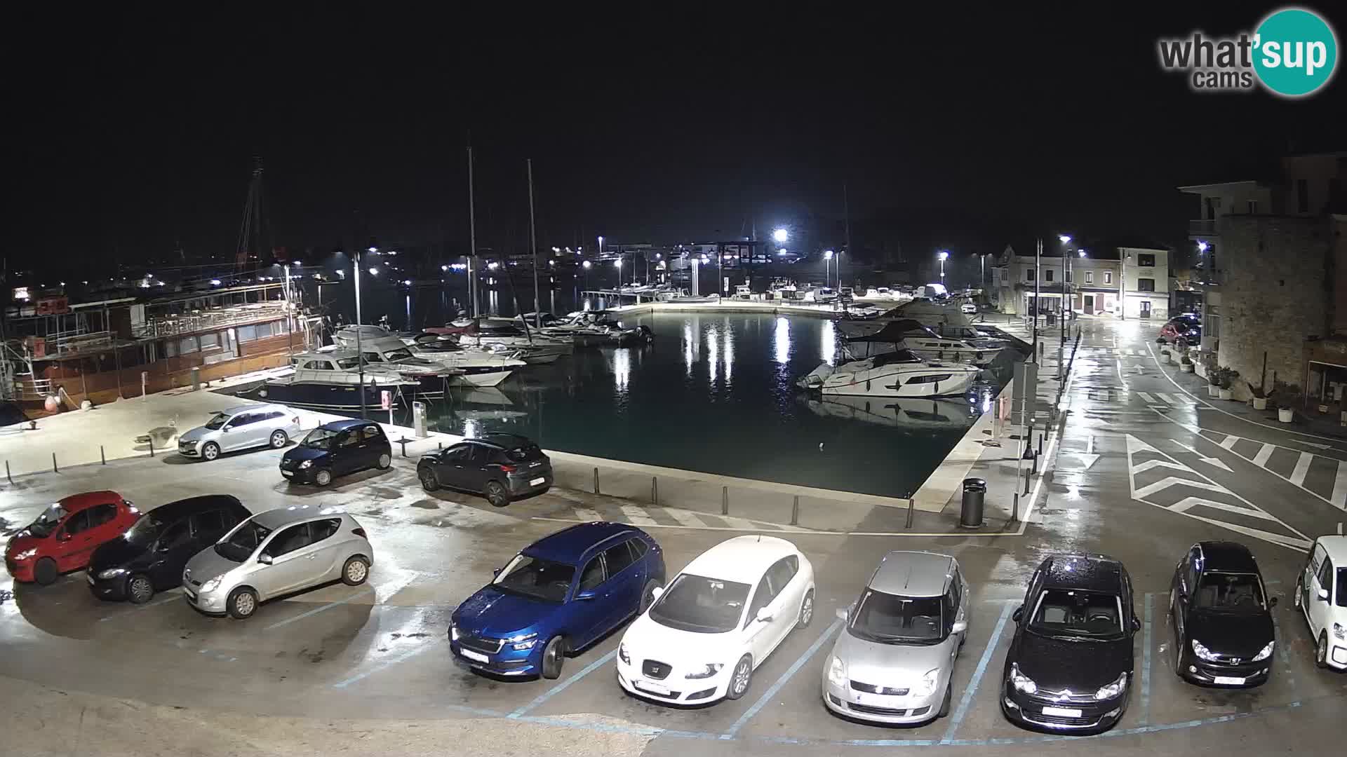 Novigrad | Porporela marina