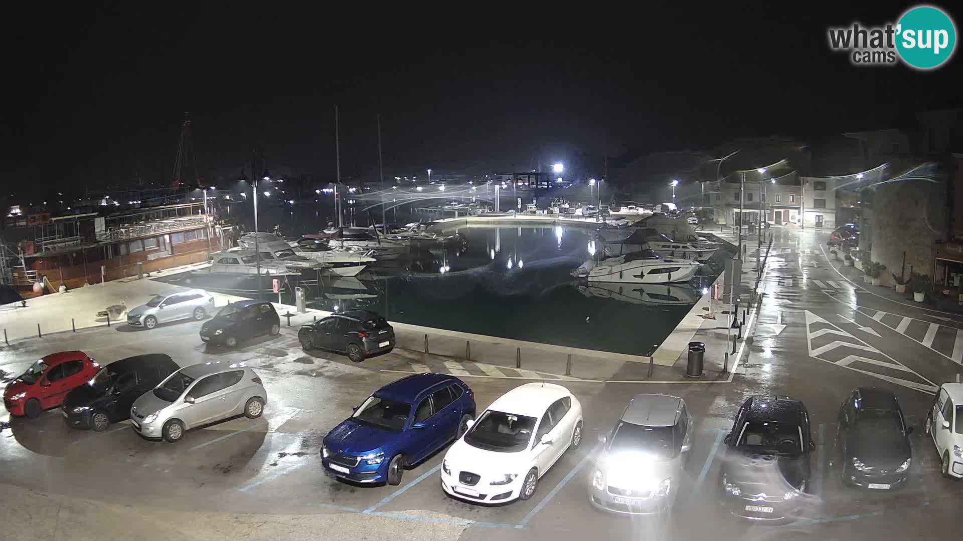 Novigrad | Porporela marina
