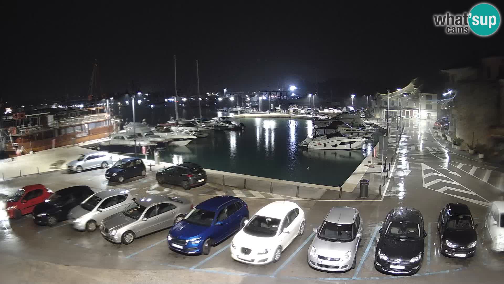 Novigrad | Porporela marina