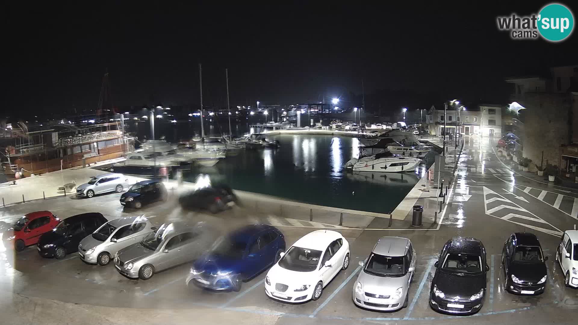 Novigrad | Porporela marina