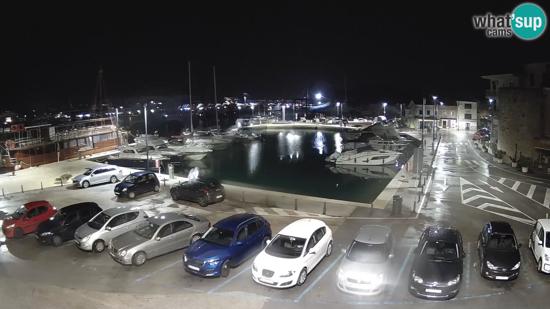 Novigrad | Porporela marina