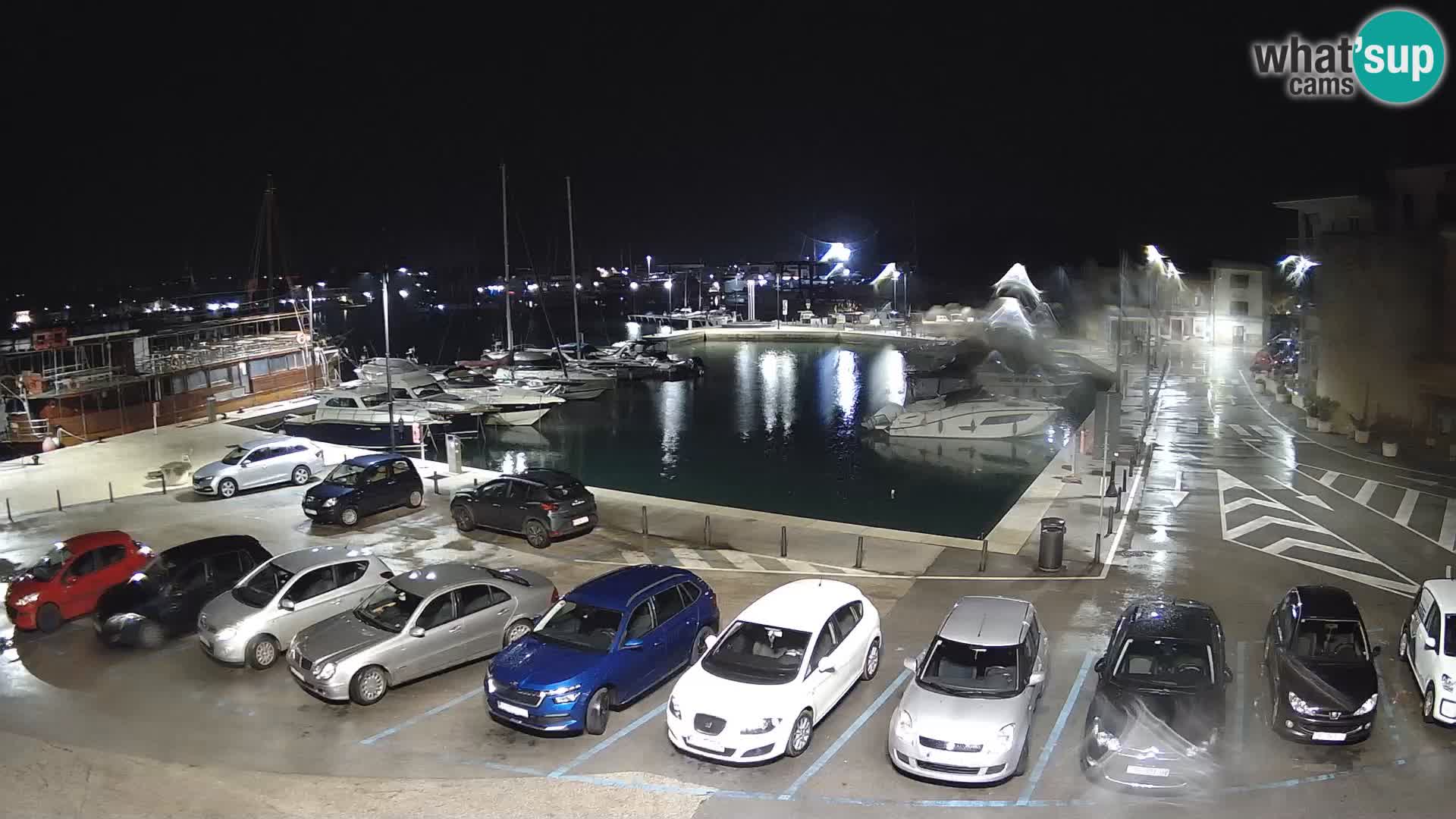 Novigrad | Porporela marina