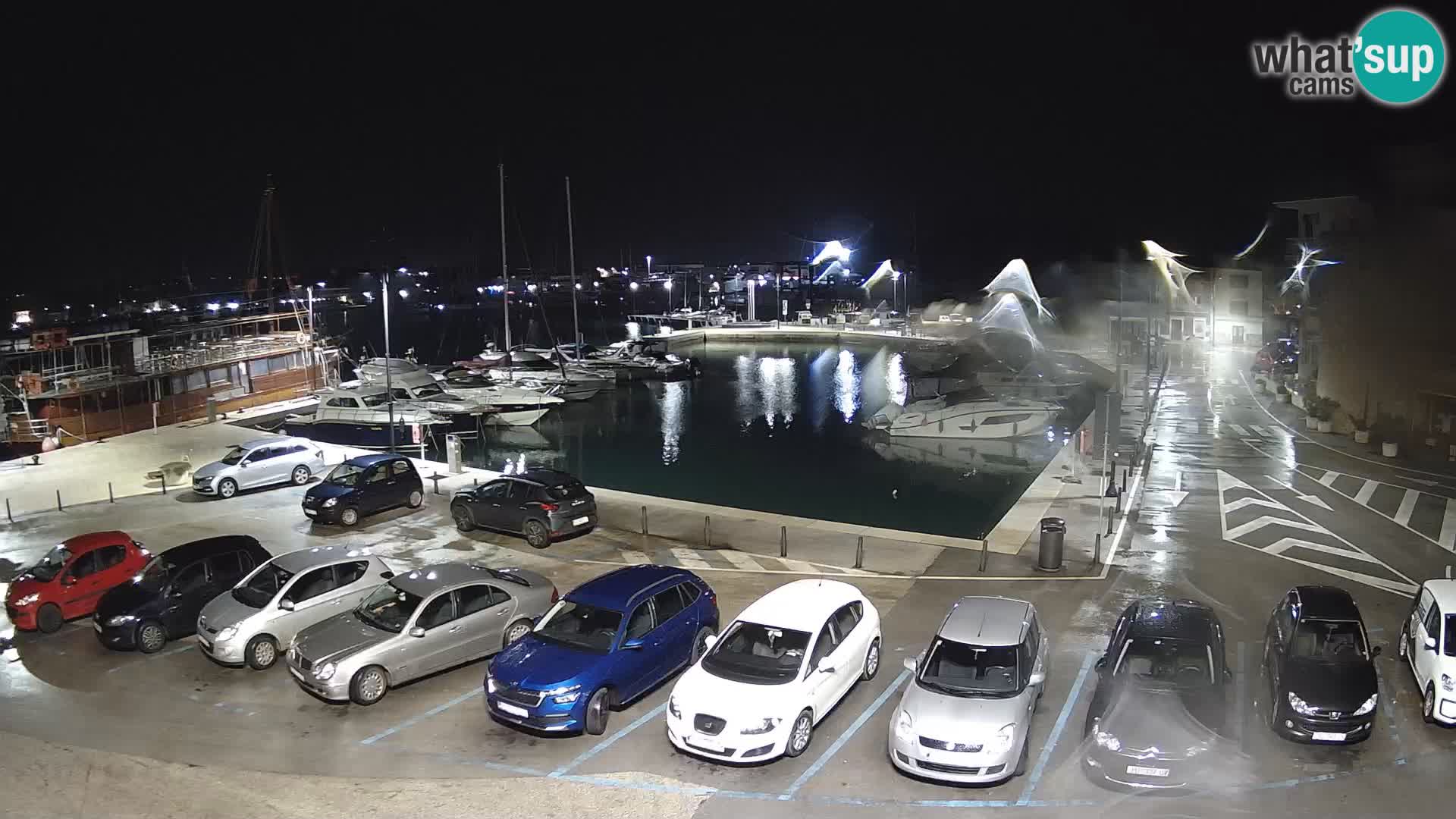 Novigrad | Porporela marina