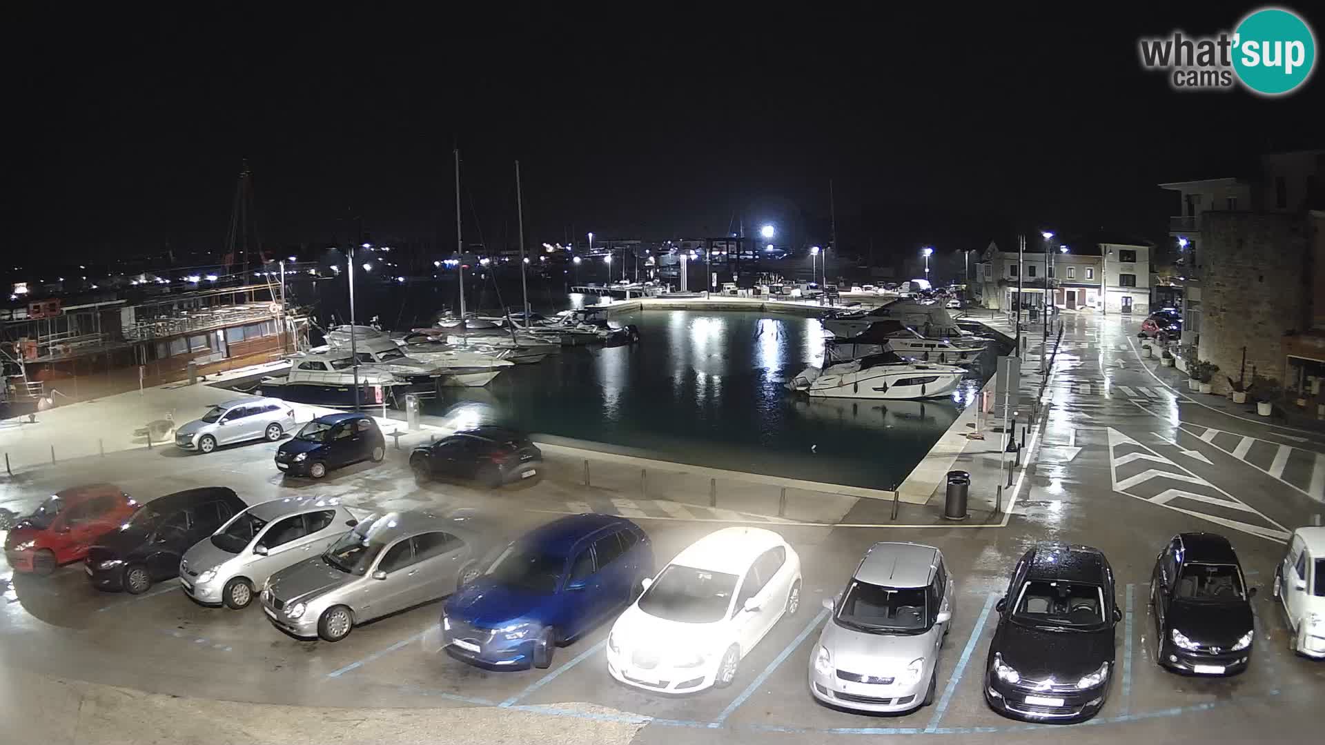 Novigrad | Porporela marina