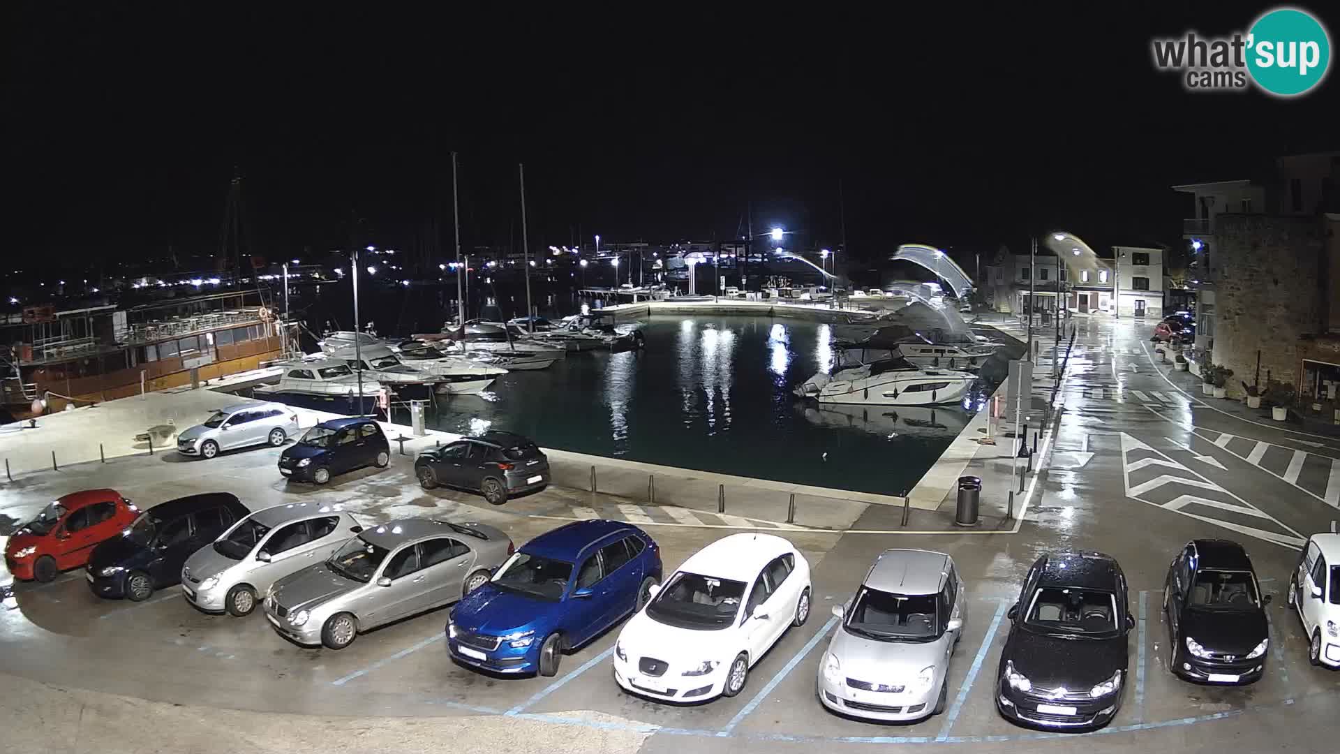 Novigrad | Porporela marina