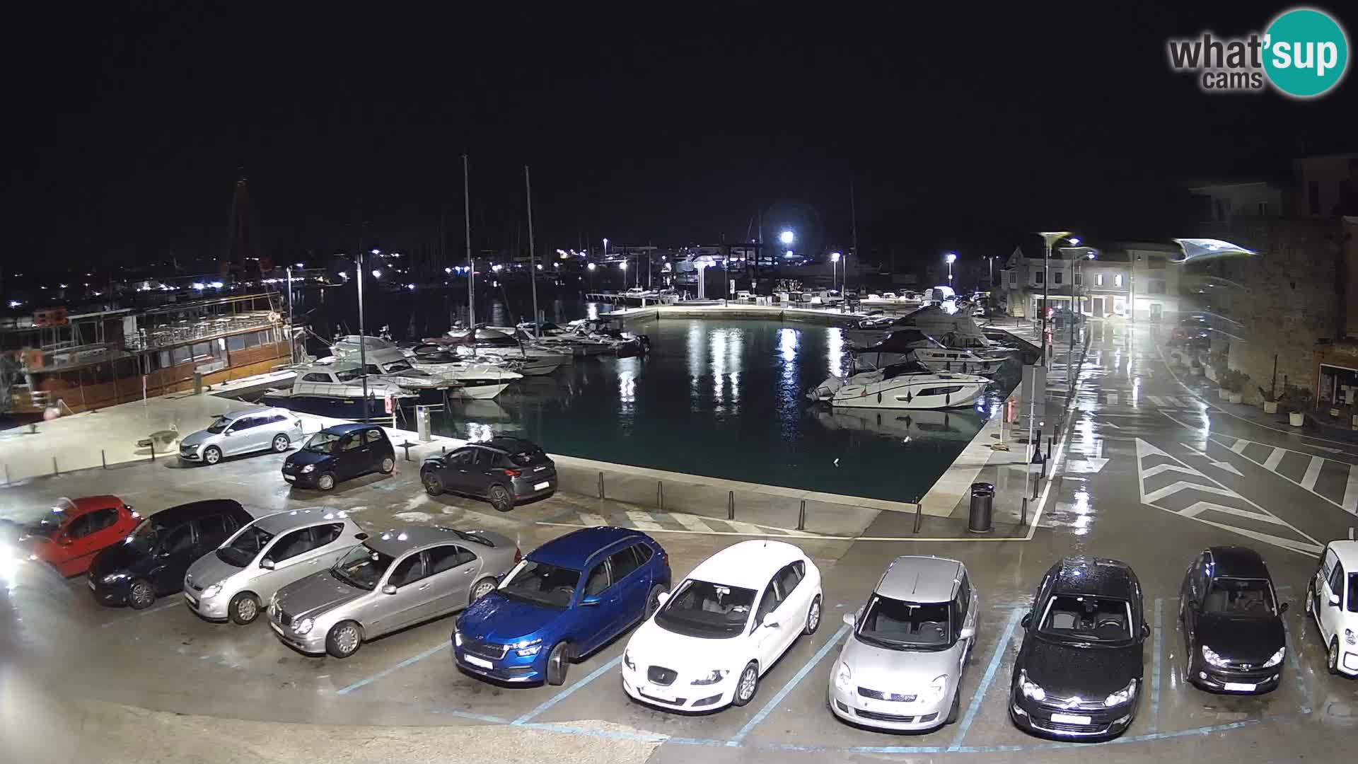 Novigrad | Porporela marina