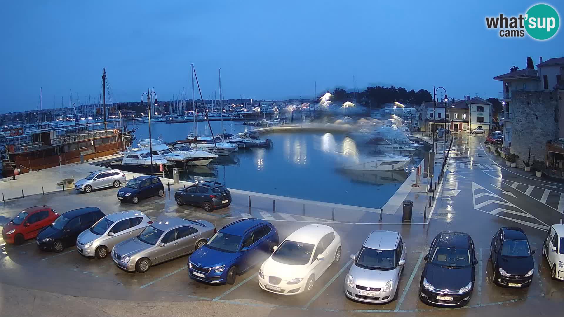 Novigrad | Porporela marina