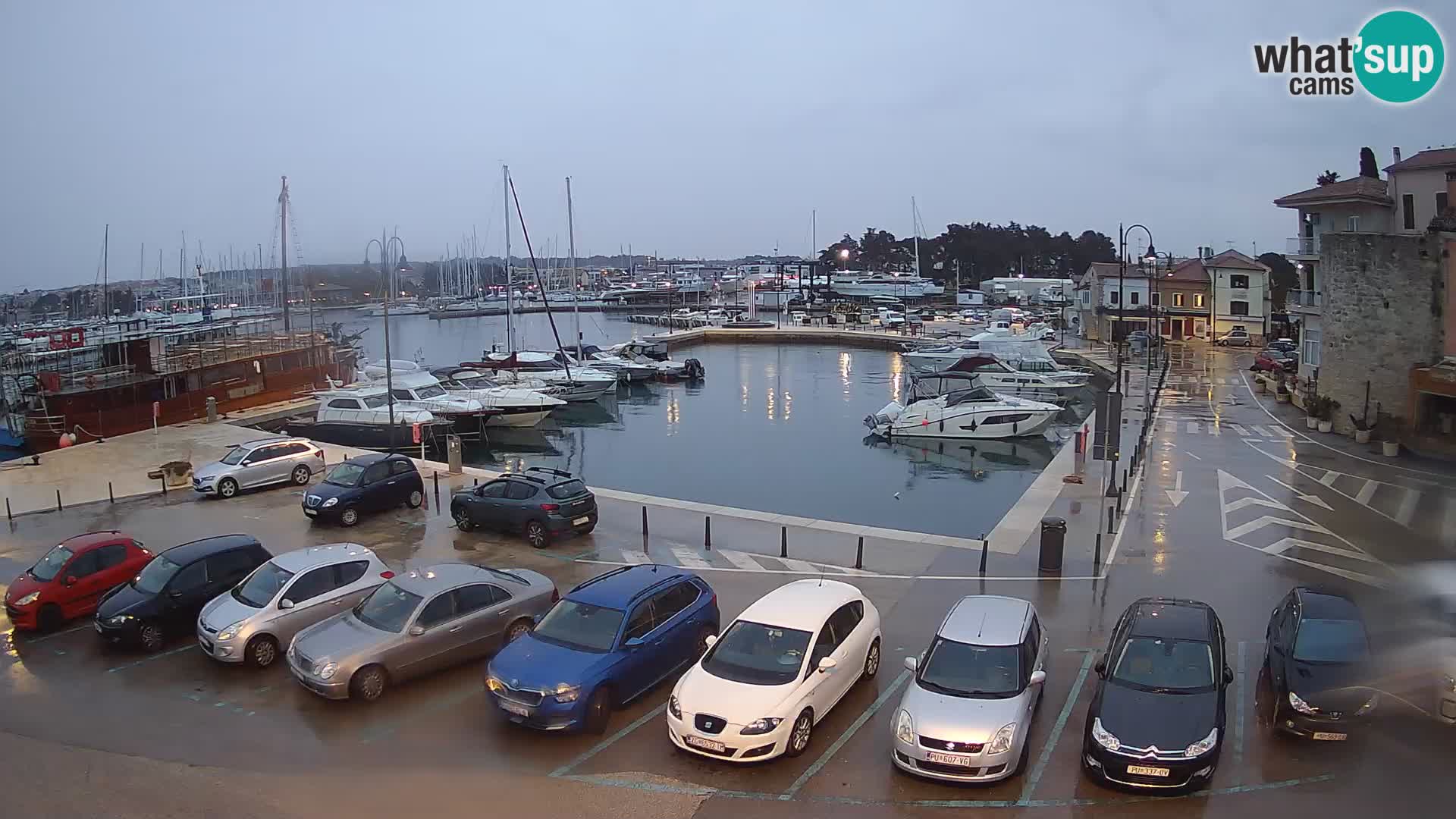 Novigrad | Porporela marina