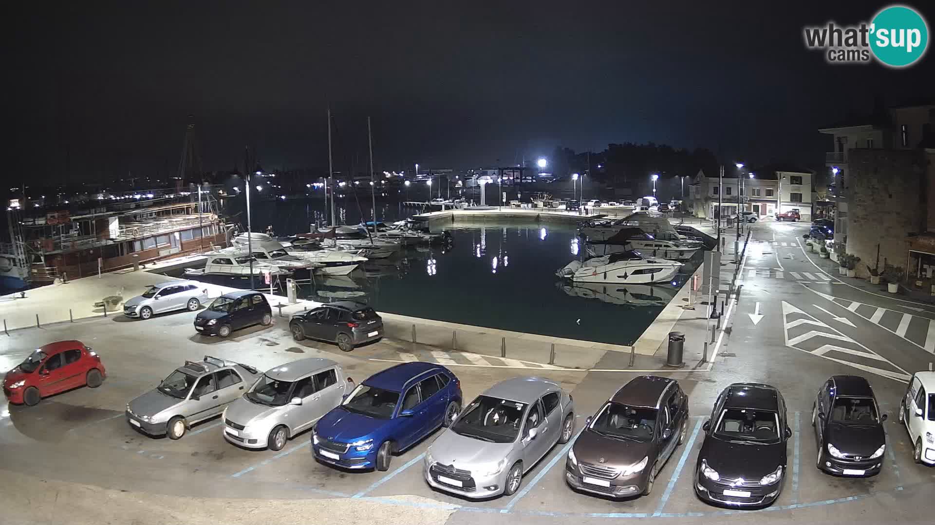 Novigrad | Porporela marina