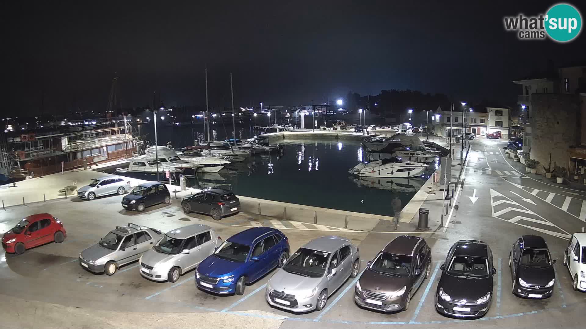 Novigrad | Porporela marina