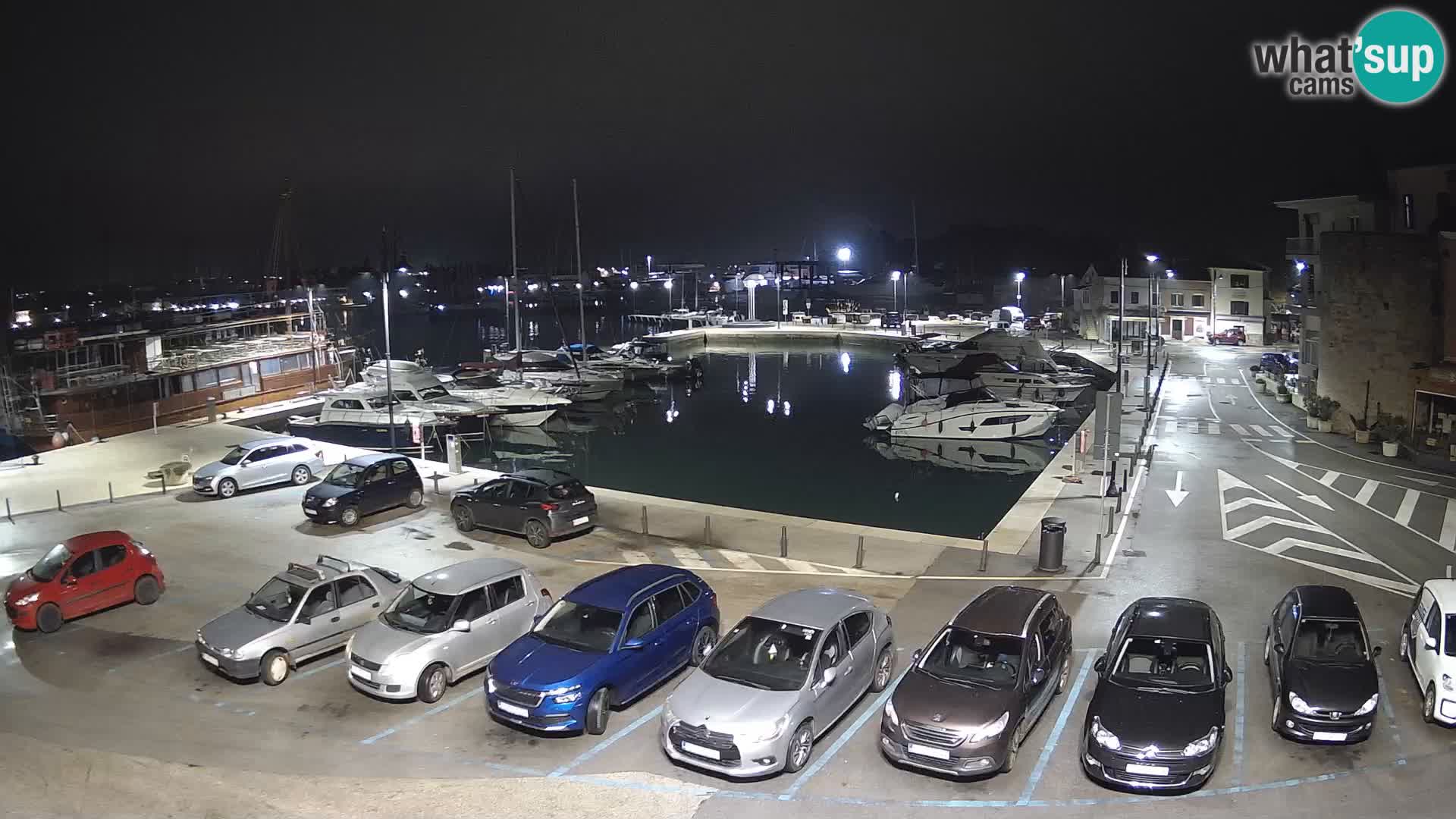 Novigrad | Porporela marina