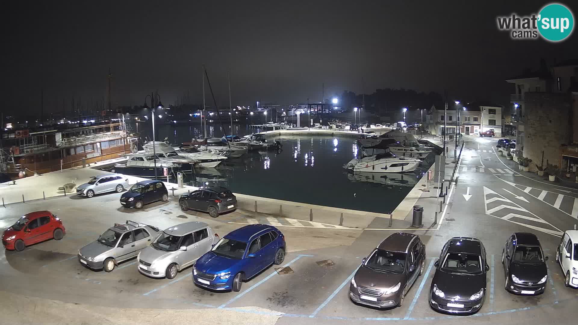 Novigrad | Porporela marina