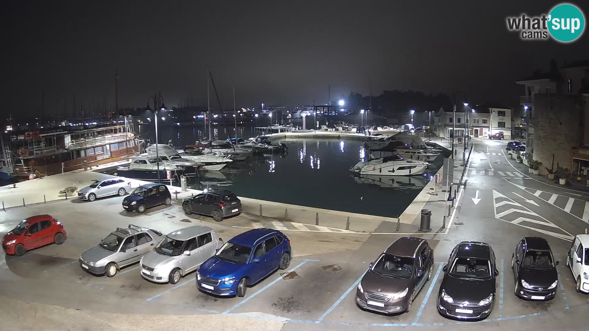 Novigrad | Porporela marina