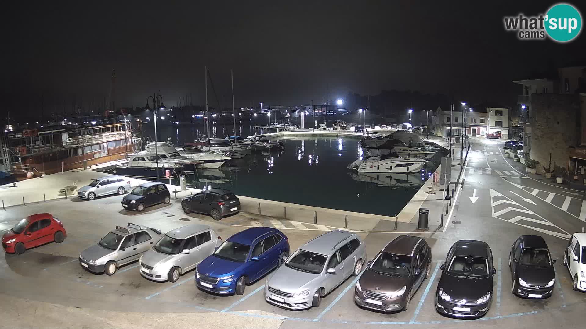 Novigrad | Porporela marina