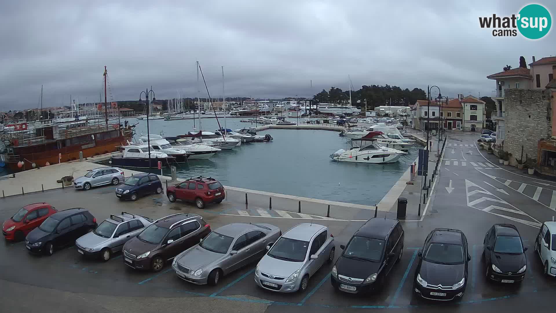 Novigrad | Porporela marina