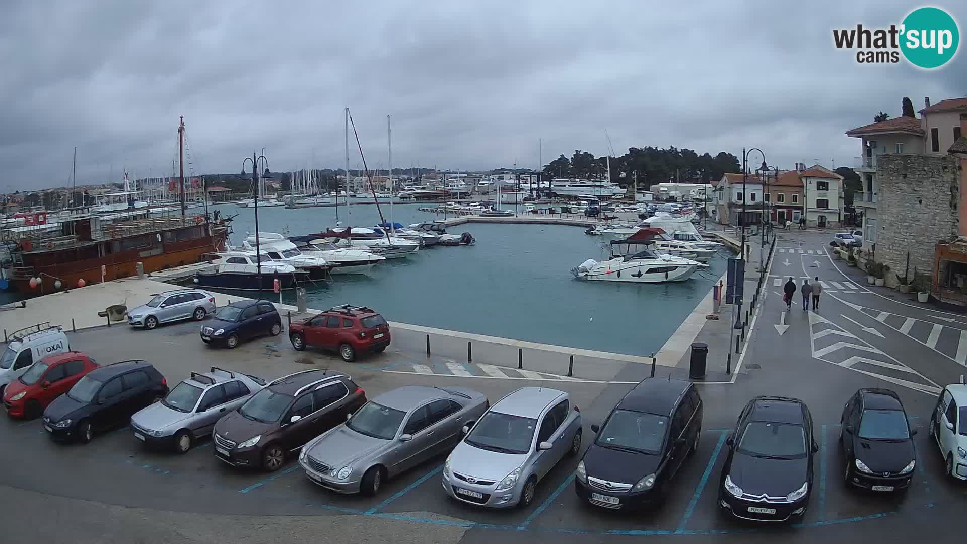 Novigrad | Porporela marina