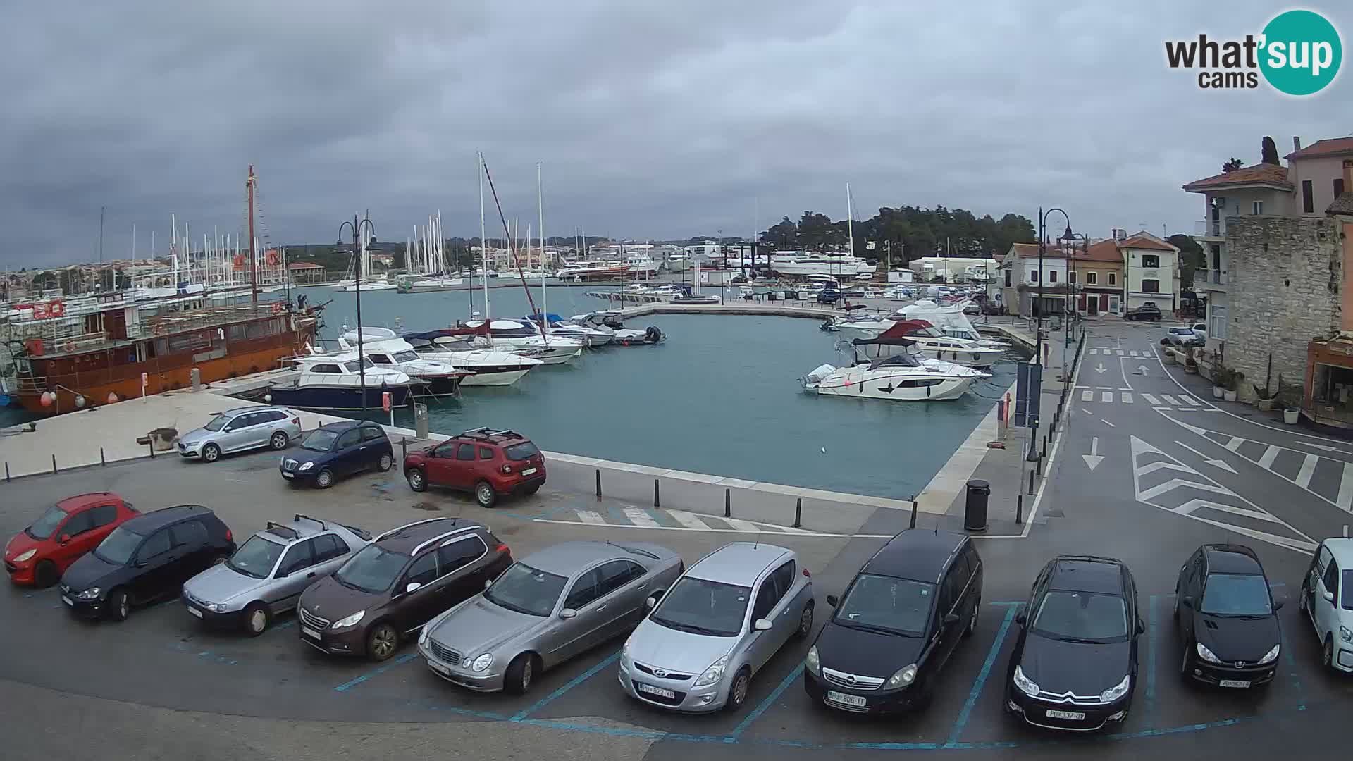 Novigrad | Porporela marina