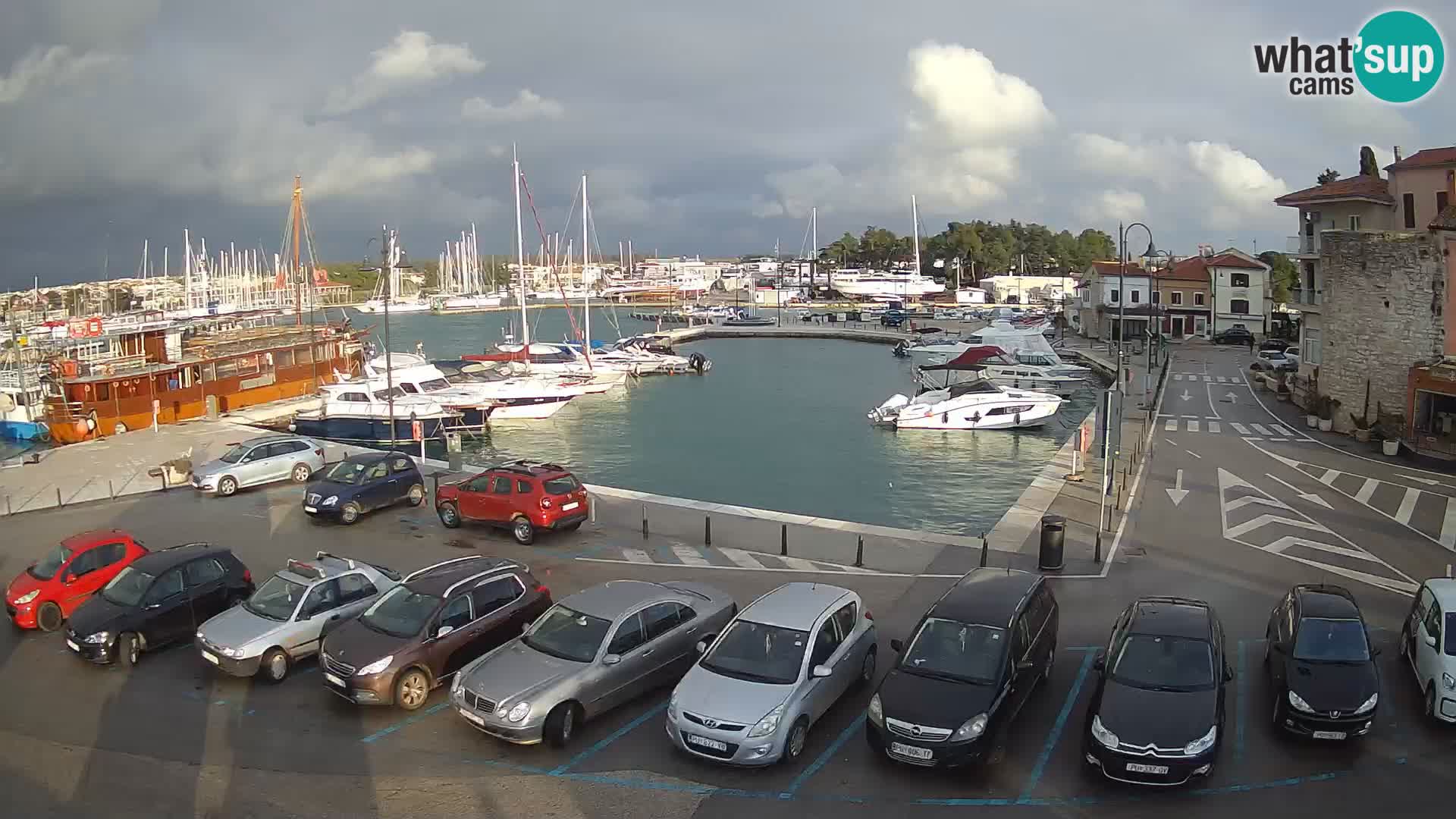 Novigrad | Porporela marina