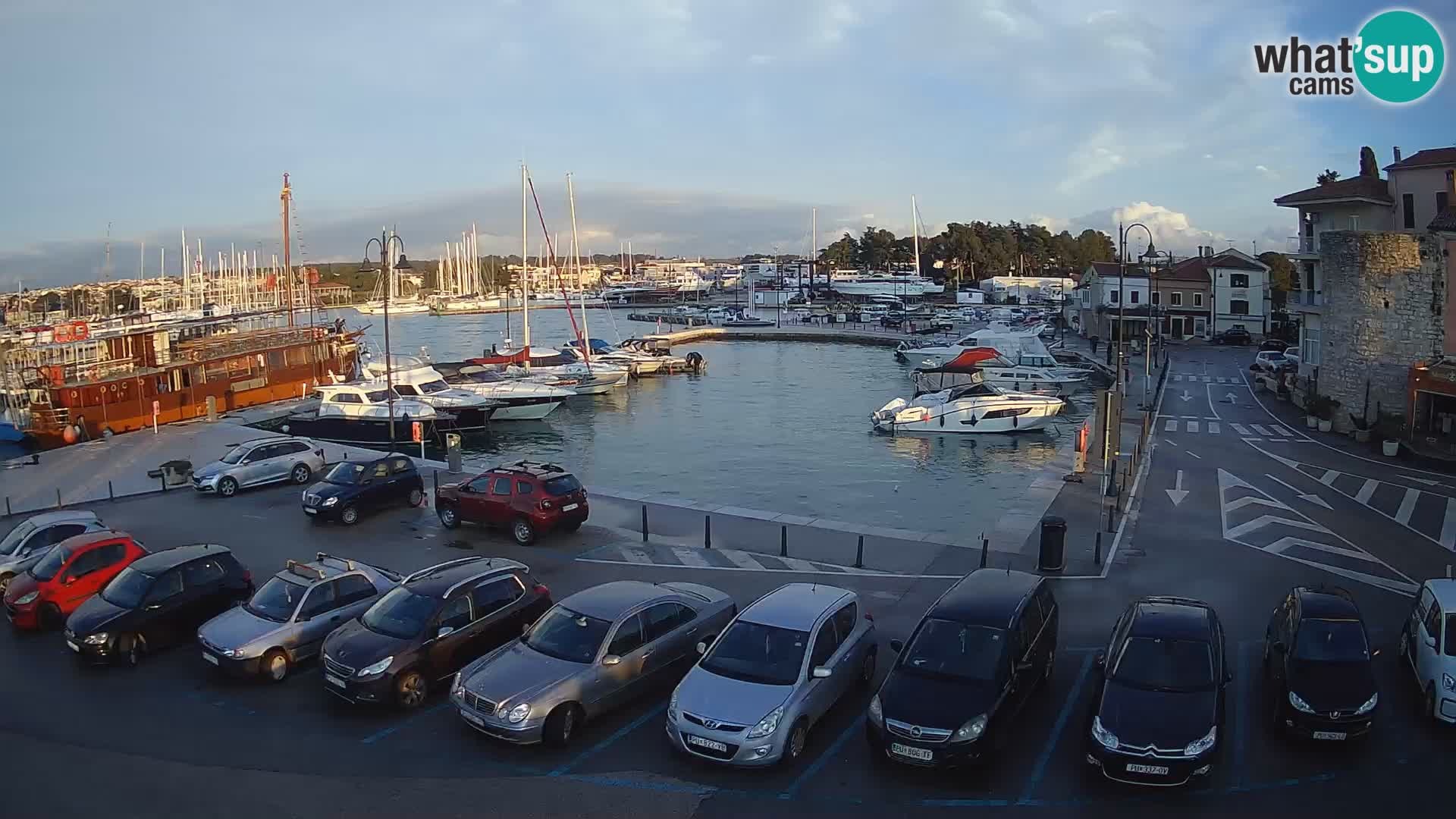 Novigrad | Porporela marina