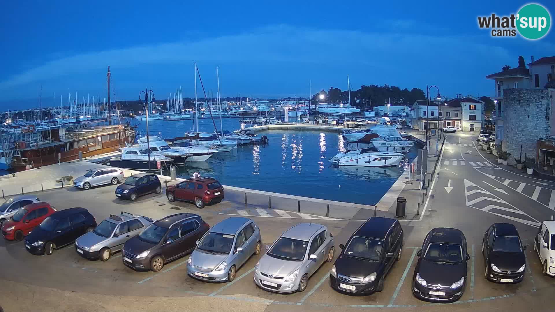 Novigrad | Porporela marina