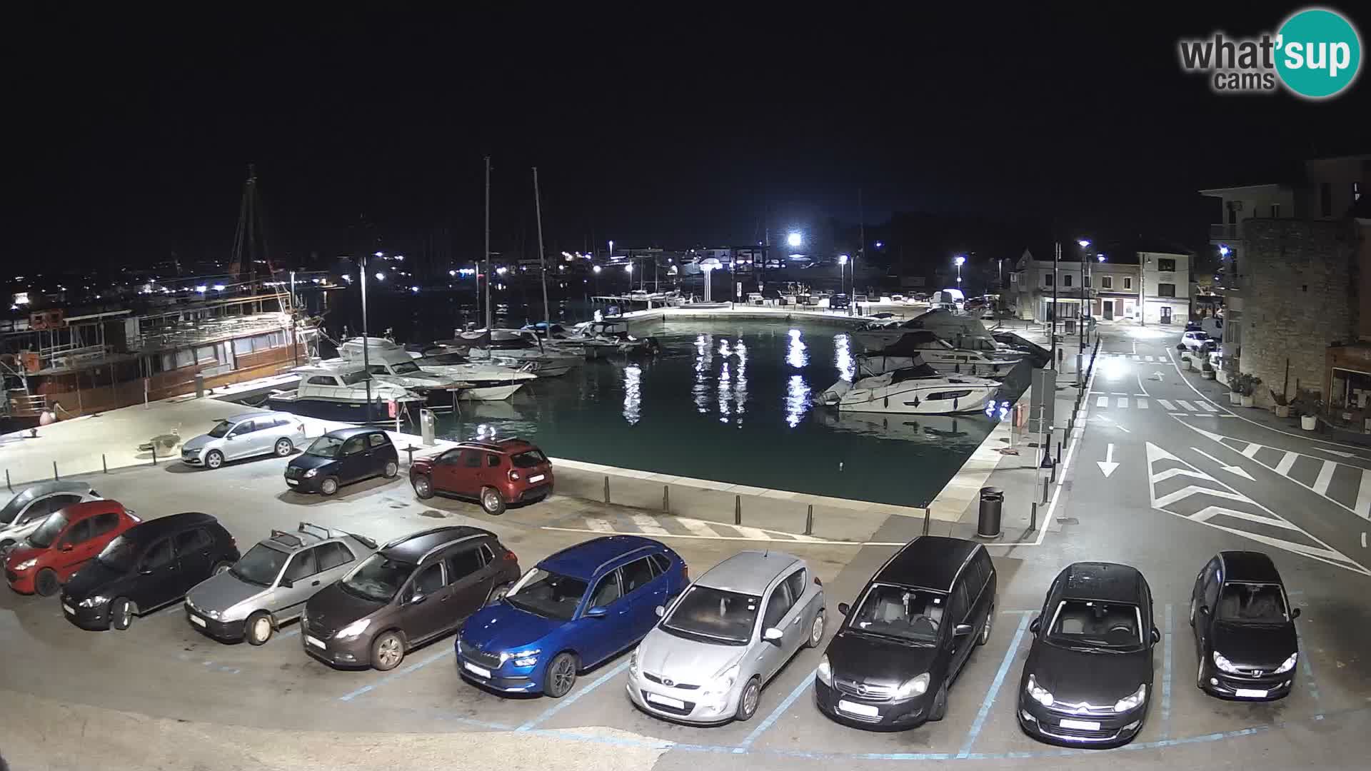Novigrad | Porporela marina