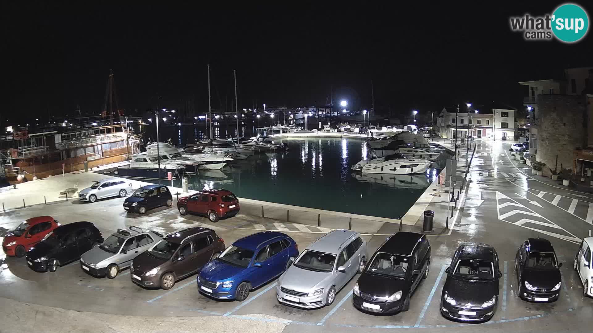 Novigrad | Porporela marina