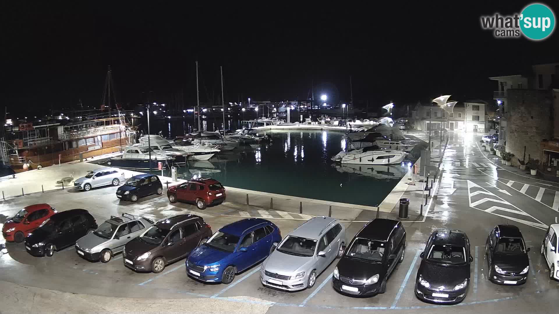 Novigrad | Porporela marina