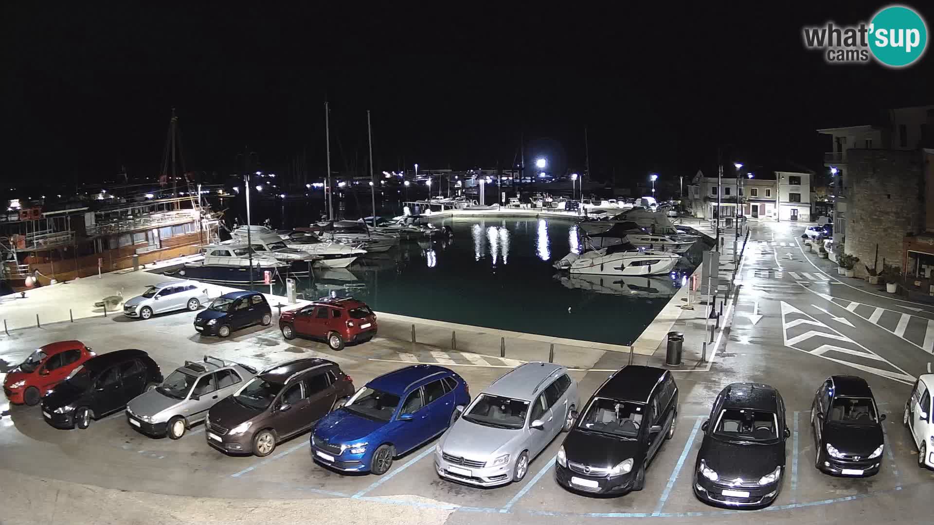 Novigrad | Porporela marina