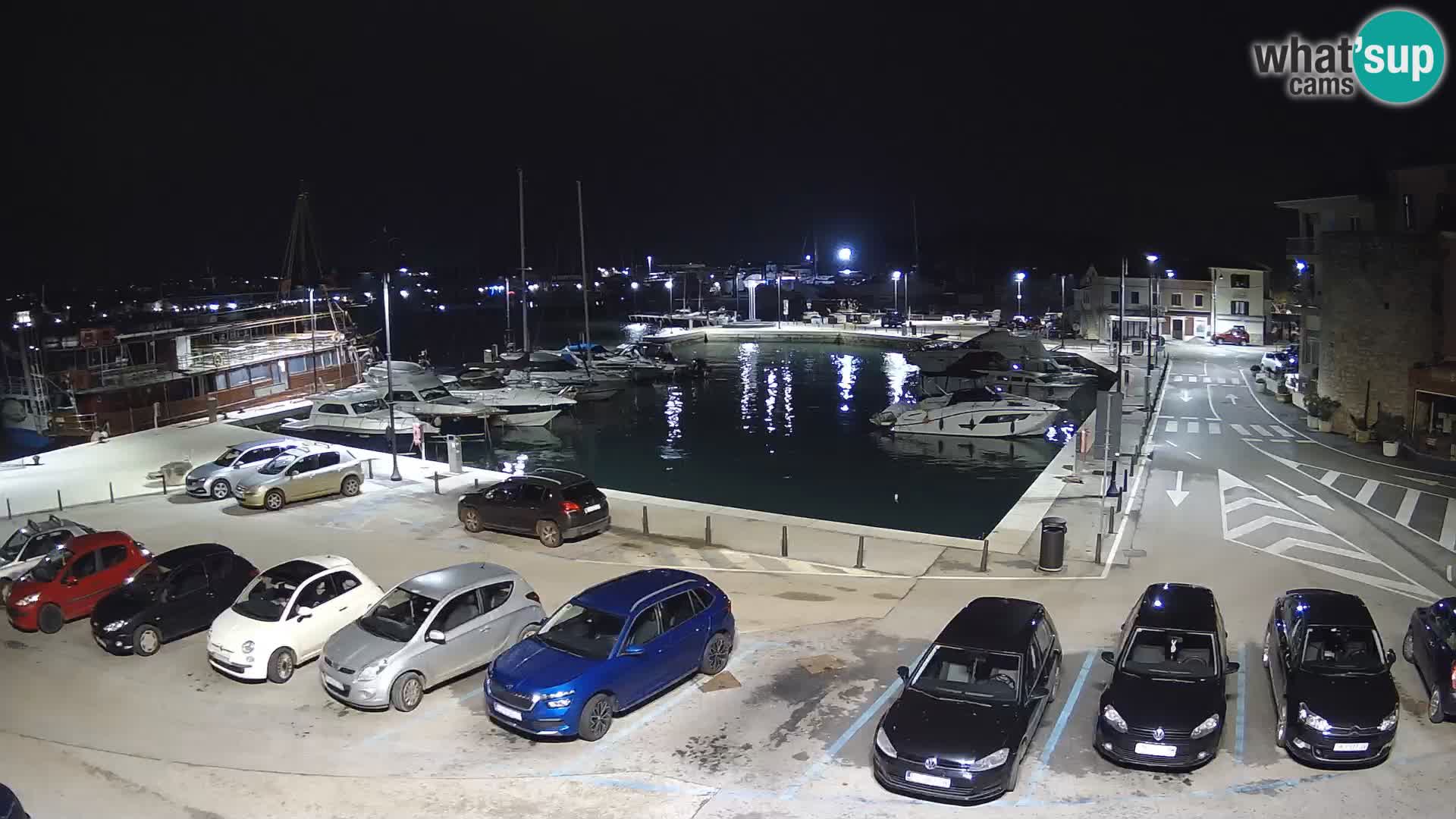 Novigrad | Porporela marina