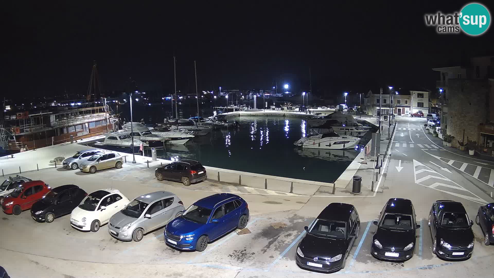 Novigrad | Porporela marina