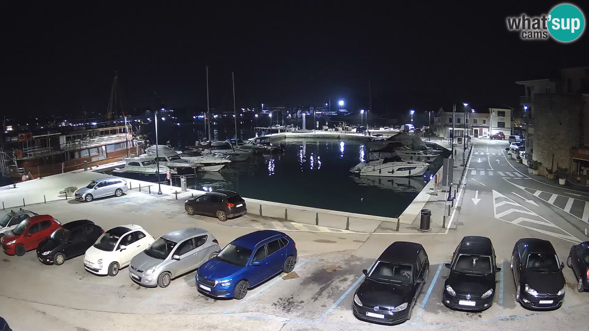 Novigrad | Porporela marina