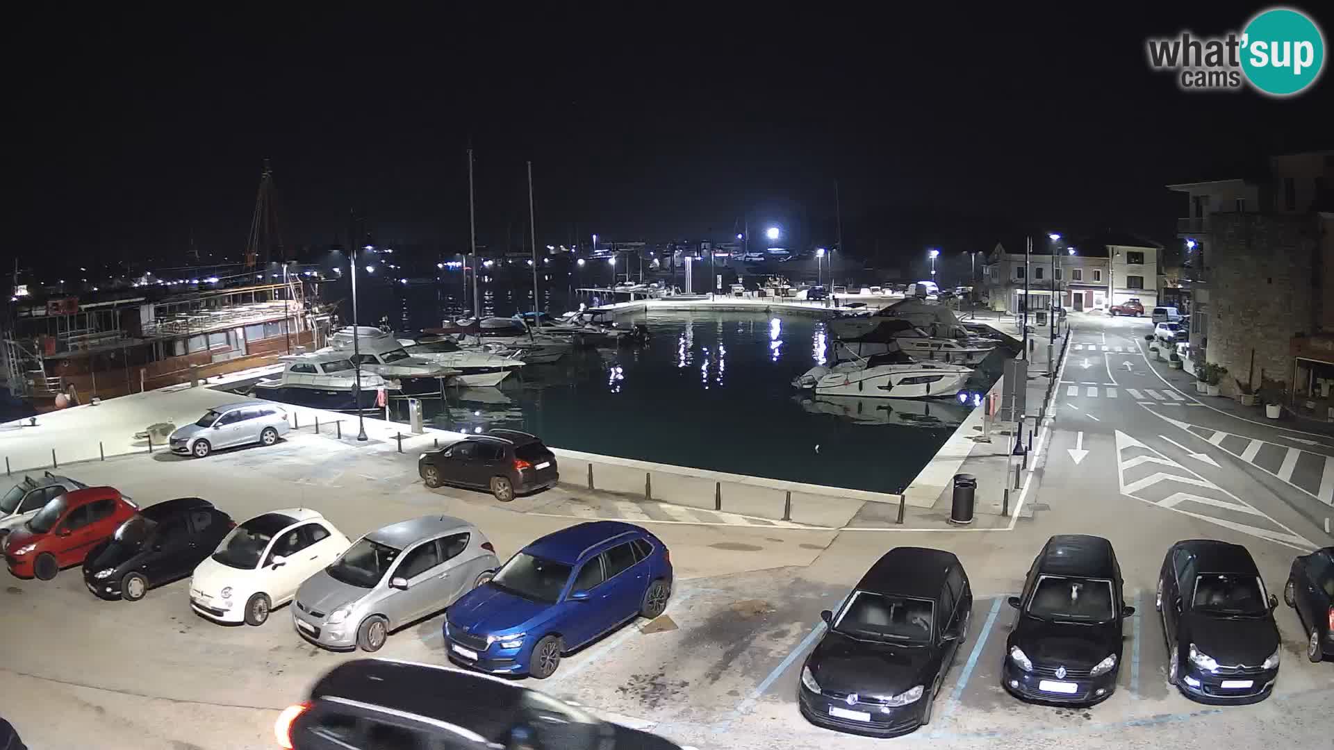 Novigrad | Porporela marina
