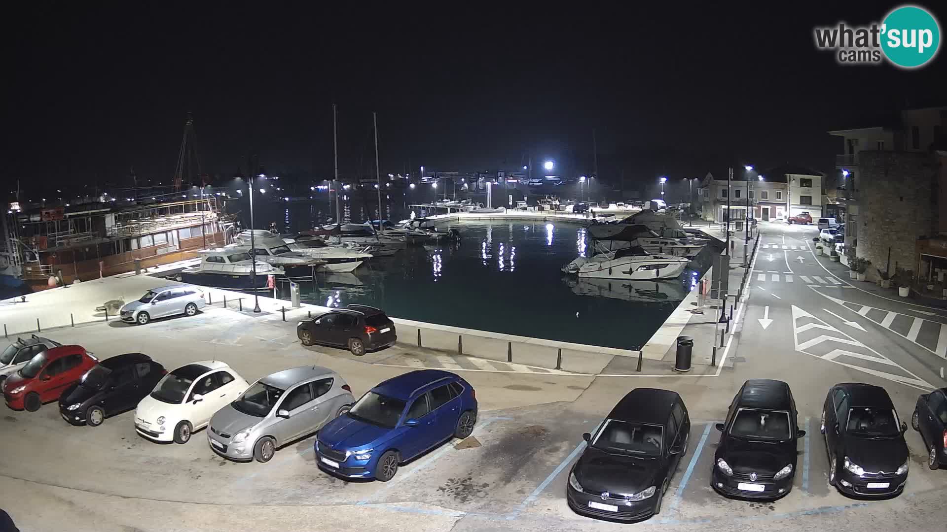 Novigrad | Porporela marina