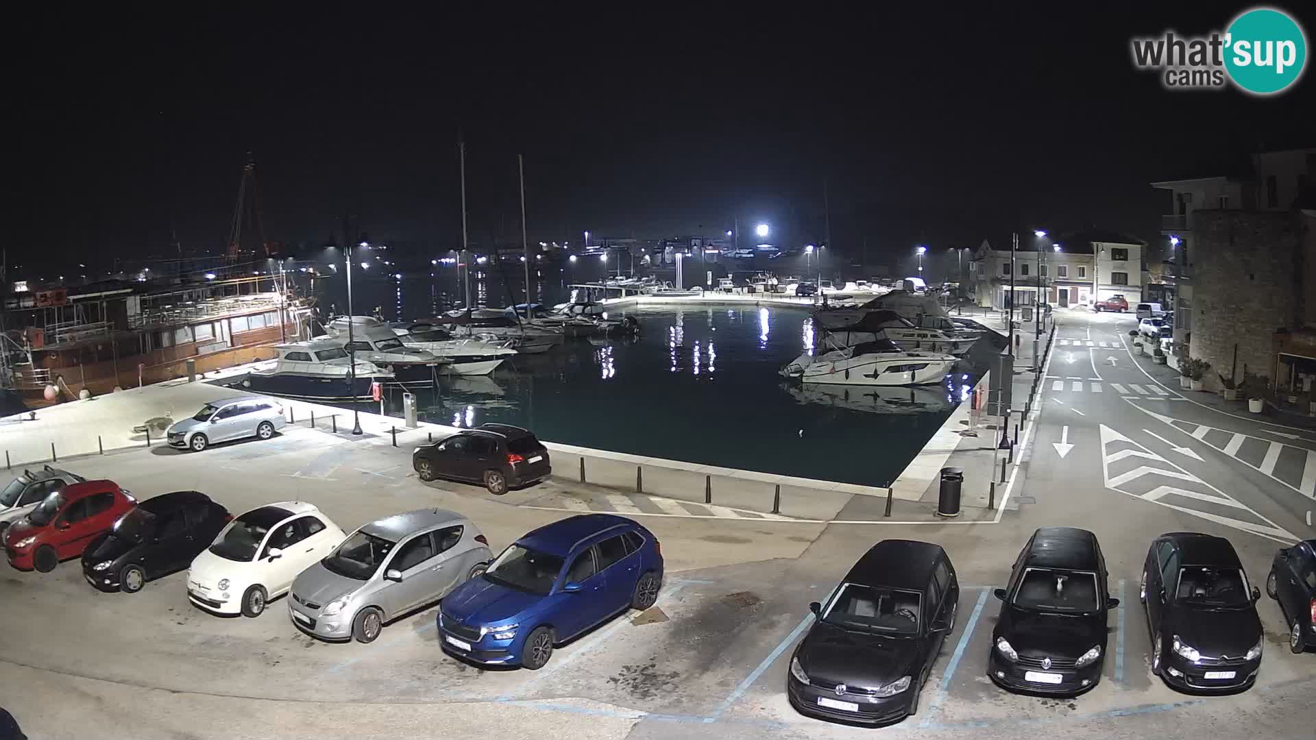 Novigrad | Porporela marina