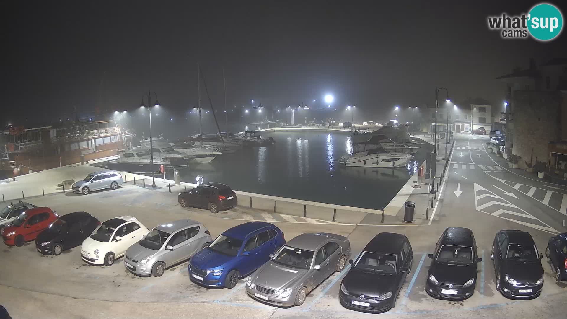 Novigrad | Porporela marina
