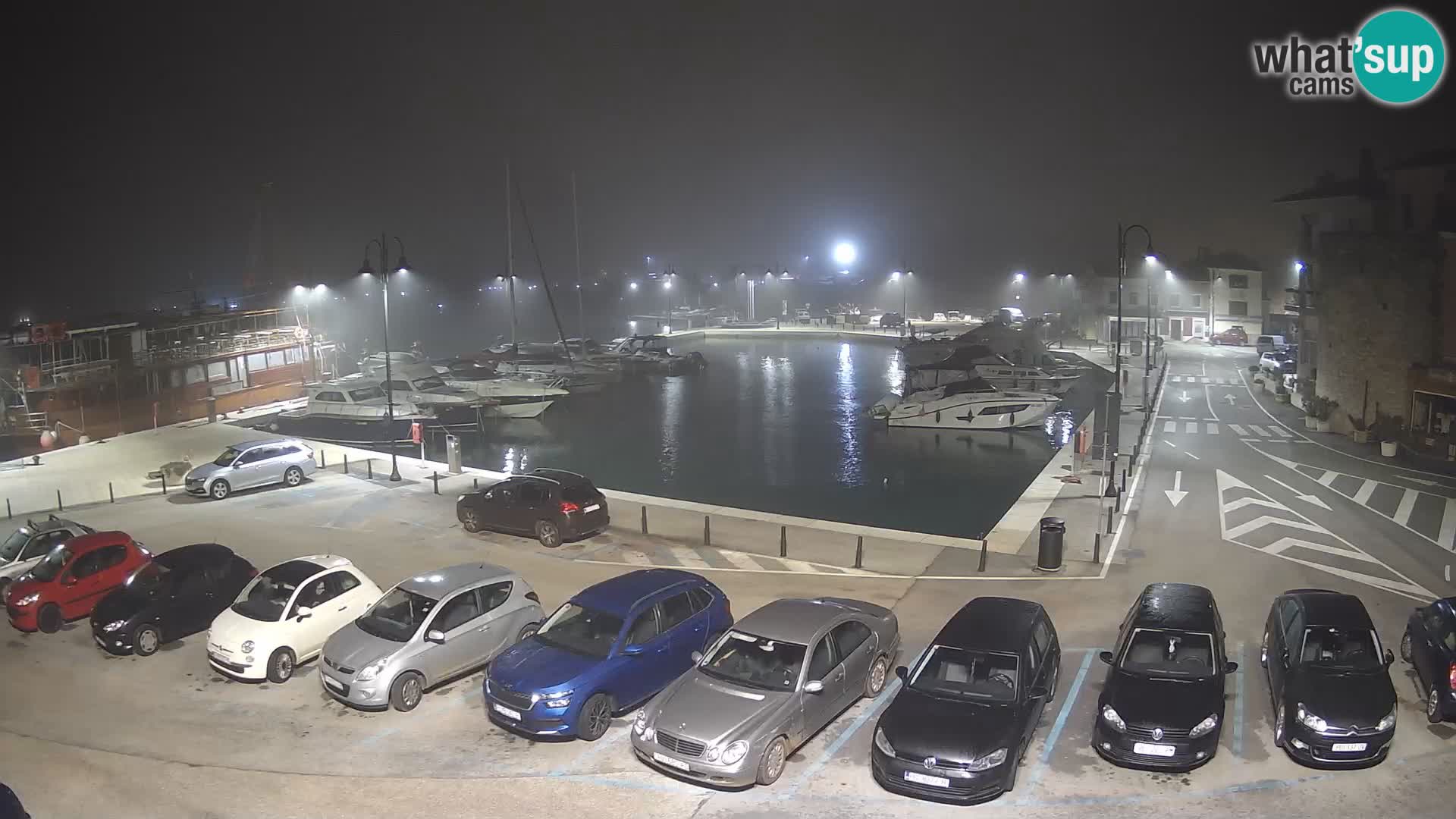 Novigrad | Porporela marina